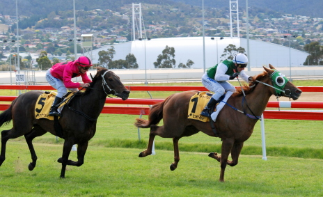 Galibier (Brendon McCoull) is too strong for The Son Shines (Peter Mertens) in the BM 78 in Hobart over 1100m