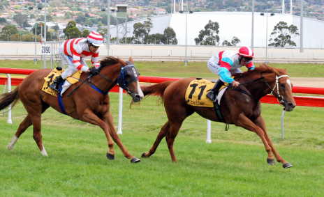 Anniversary Belle (Darren Gauci) defeats In The Frame (Stephen Maskiell) in a 3YO and Up maiden over 1100m