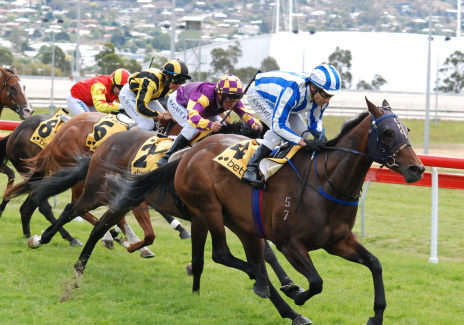 Tap It In (Stephen Maskiell) cruises to an easy win over Shardoo and Double Unique in a Class 4 over 1100m in Hobart
