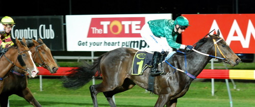 Socks with Kelvin Sanderson up wins the $50,000 Sires Produce Stakes under lights in Launceston
