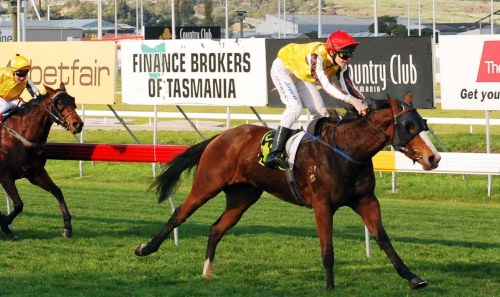 Patfull (James Riordan) wins her maiden at The TOTE Racing Centre in Launceston on June 3

