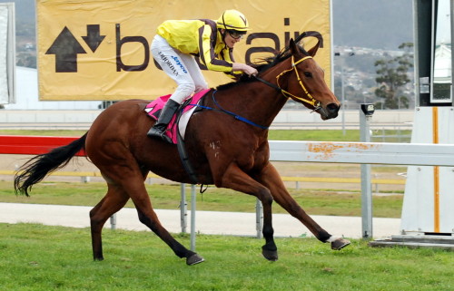 Tough Future winning in Hobart on May 30
