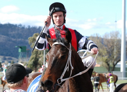 Cameron Quilty brings Atcos Quest back to the unsaddling enclosure

