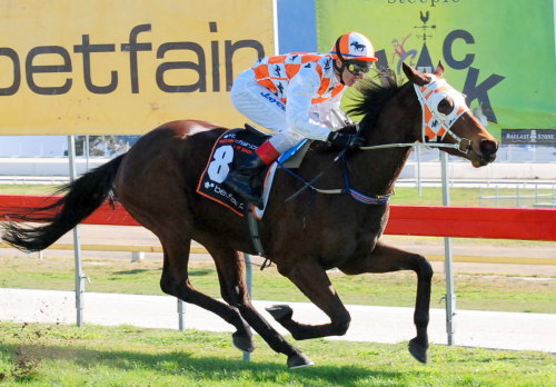 Sorell Miss (Brendon McCoull) scores an impressive maiden win at Tattersall's Park
