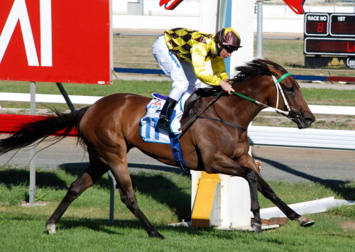 I'm A Hussy a recent winner at Caulfield seen here winning the WFA Vamos Stakes in February

