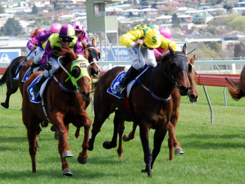Pengalas Gee Gee (left) gets up to win his maiden
