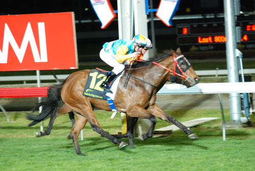 Shim Sham Shimmy (Jason Maskiell) gets up in the last stride to win at The TOTE Racing Centre under lights
