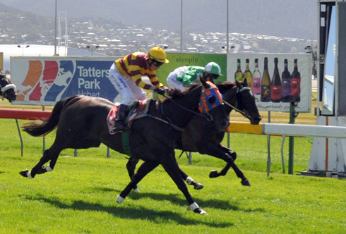 Dream Pedlar in action winning the Tasmania Stakes last saeson

