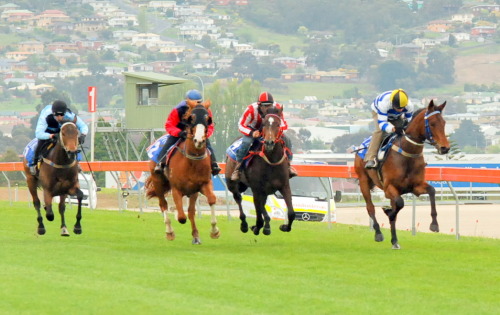 Another Concerto (rails) holds out Campeon (white blaze) in Hobart trial

