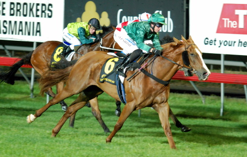 Trysty (Dianne Parish) scores a confortable win in open company in Launceston on Thursday night
