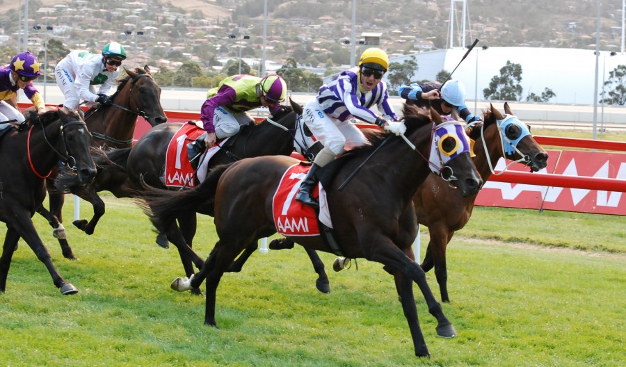 Hurdy Gurdy Man and Glen Boss win the AAMI Hobart Cup