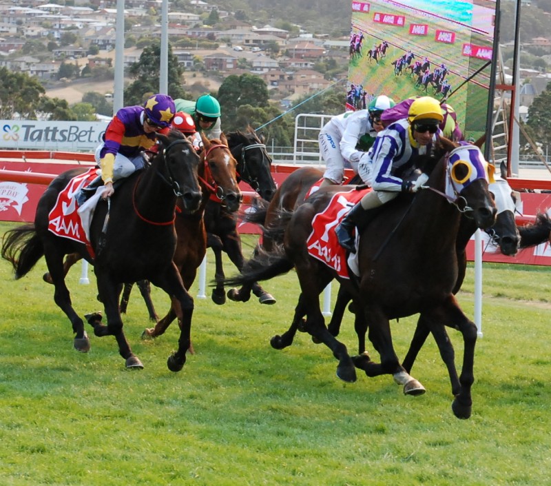 Lucky Angel (9) fiinishes on the heels of Huirdy Gurdy man in Hobart Cup