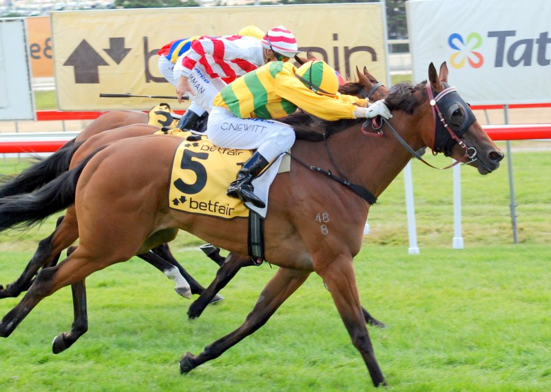 Unoaked (Craig Newitt) gets up to defeat makes cents (Hugh Bowman) in the BM78 hcp over 1600m in Hobart