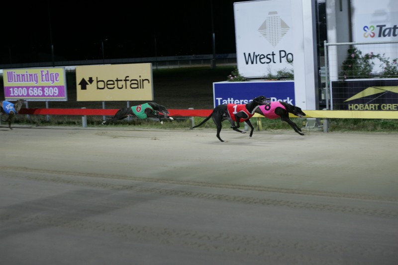 Jack O'Reilly winning in Hobart recently