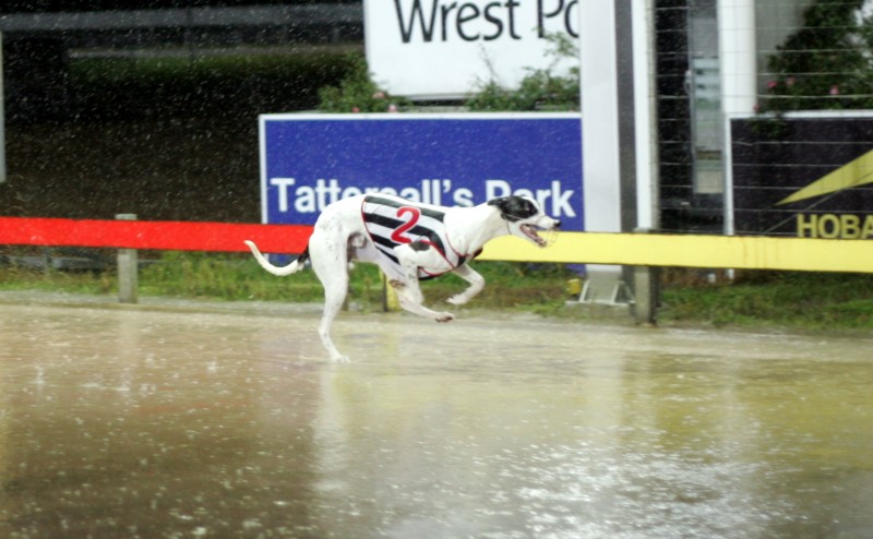 Nicholas Jack wins Easter Cup heat in pouring rain