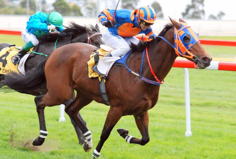 Blue Light wins BM68 in Hobart last Sunday with Brendon McCoull aboard
