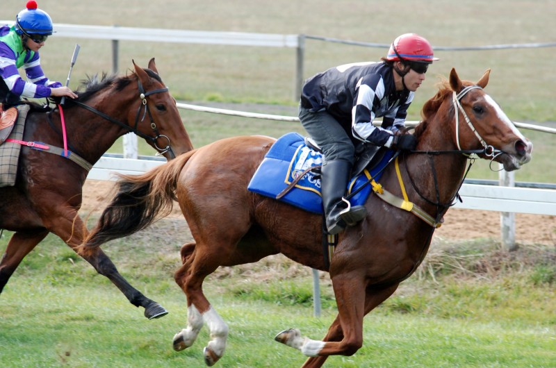 Chinese Medicine (Yassy Nishititani) wins trial over 700m from Maggie's Pal at Longford April 30 2013