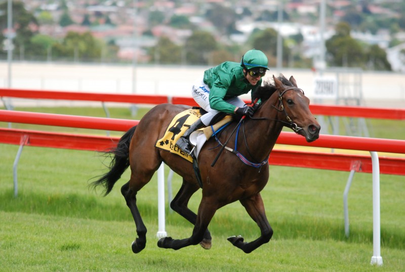 Grand Tycoon winning the Debutant Stakes in Hobart