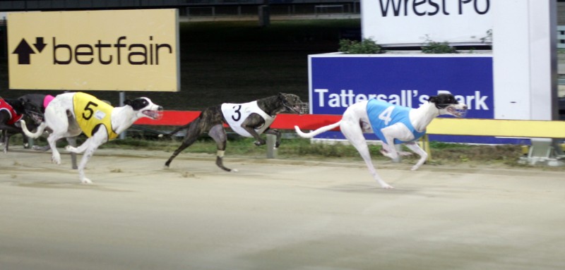 Rewind holds out Fulande (3) and Nicholas Jack (5) on his way to victory in Hobart.