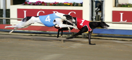 Emerald Lee holds out Jethro in Illingworth Classic heat last year before going on to win the final