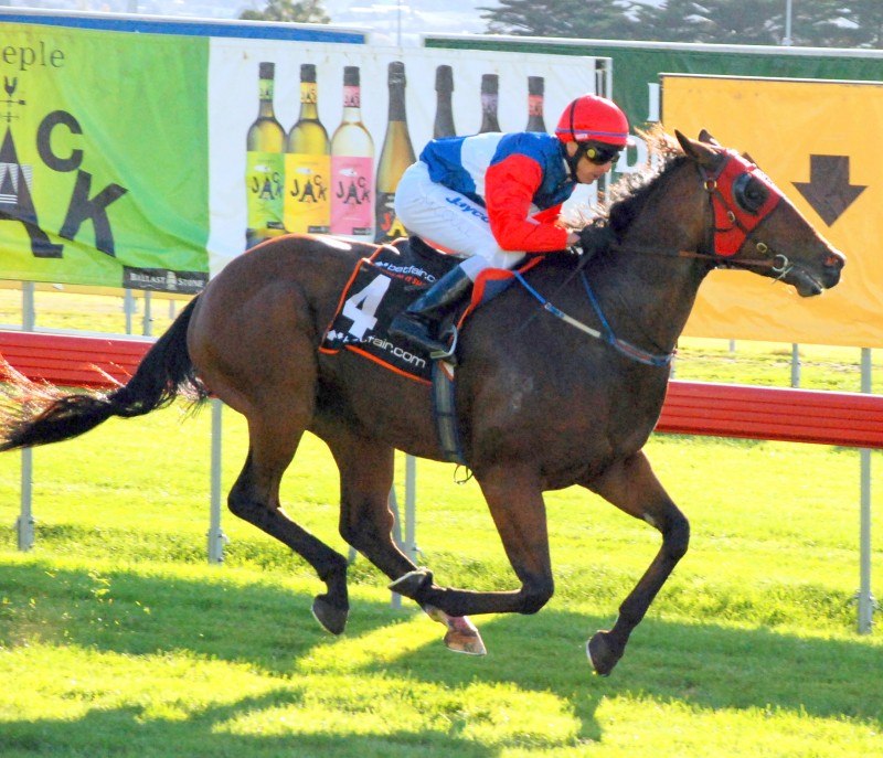 Loaded Owners winning at Tattersall's Park when he last raced in Tasmania