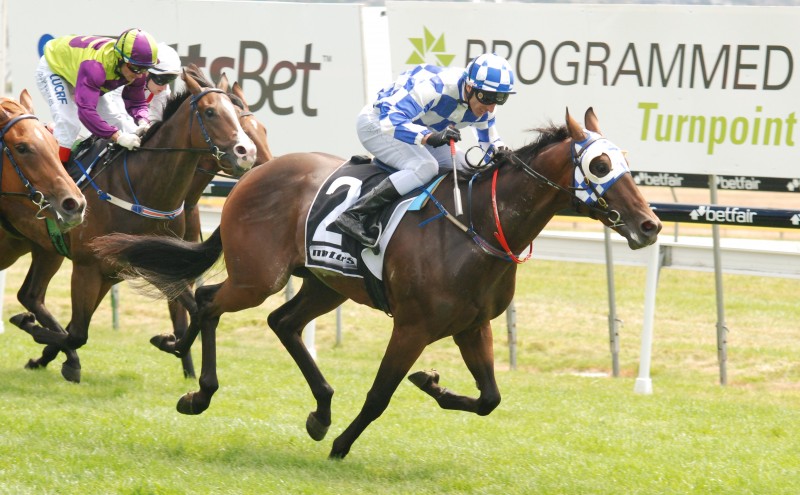 Admiral (B McCoull) winning the $100,000 Listed Motors Elwick Stakes for 2YO