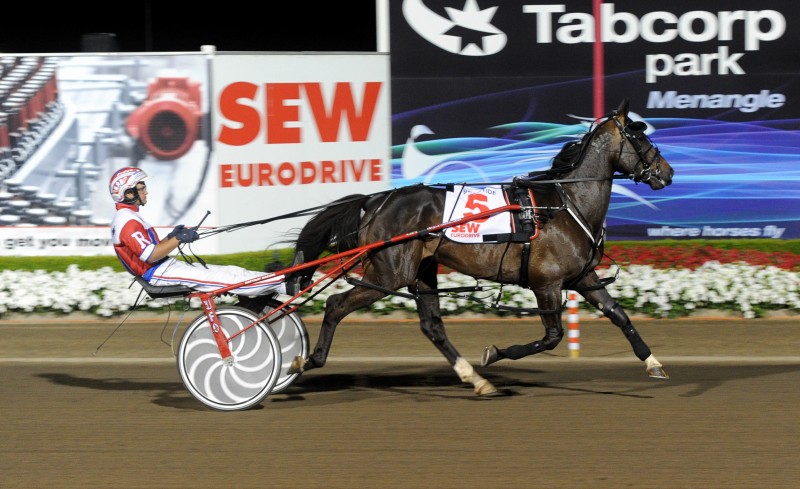 Beautide (James Rattray) after a win at Menangle