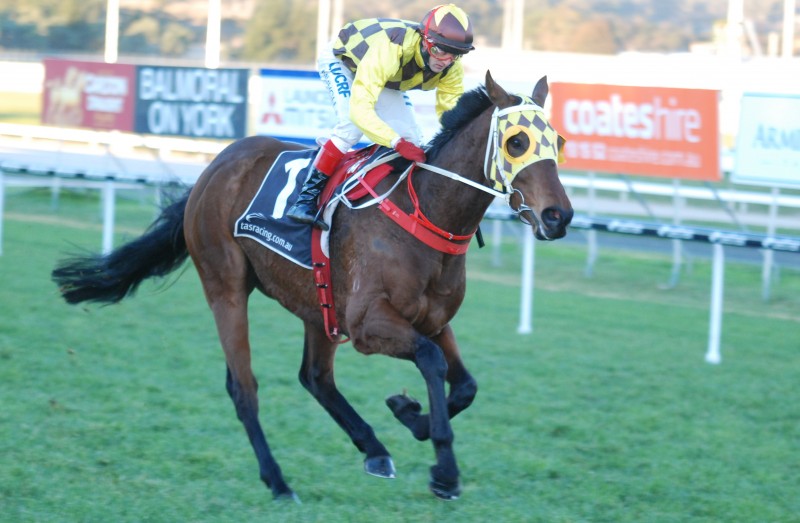 Private Currency (Bulent Muhcu) eased down in winning Class 2 in Launceston over 1400m
