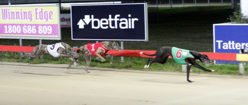 Soul Sister wins juvenile in Hobart in a time of 26.46