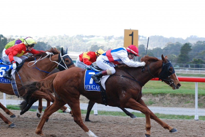 Royal Bluff (Erhan Kacmaz) on her way to victory at Devonport. She survived a protest