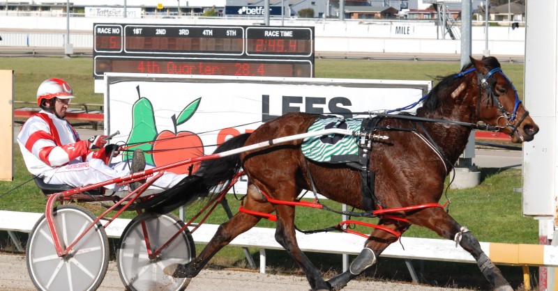 Damitsam gives Justin Campbell his treble in Launceston on Tuesday
