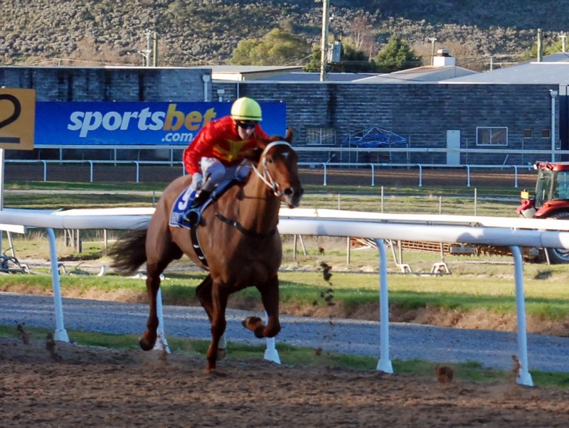 Magnetic Queen running home strongly at Spreyton last Saturday