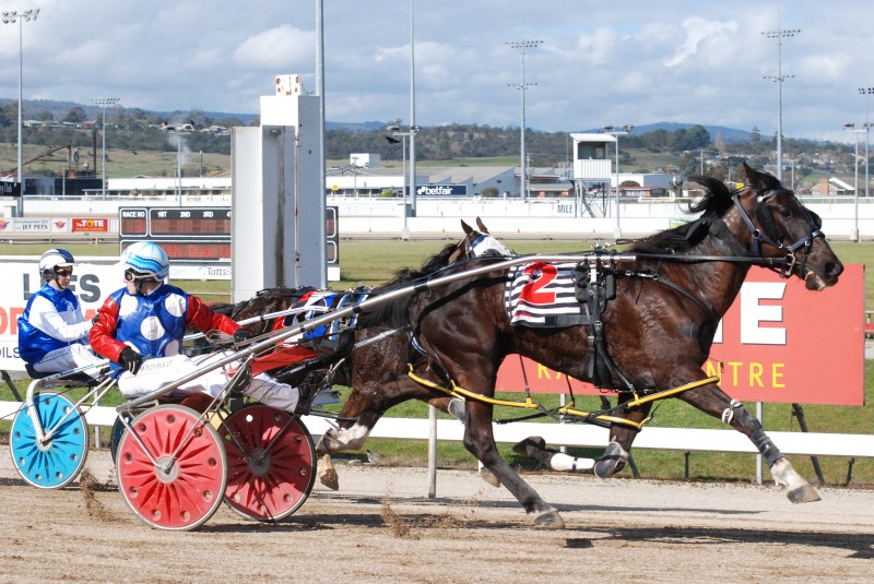 Nicholas Brockman aboard favourite Bravo Charlie is looking for the opposition after winning C0-C1 in Launceston