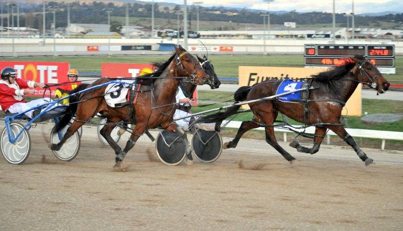 Riverboat Jasper holds out Divas Delight to win C5-C8 in Launceston 26-8-14