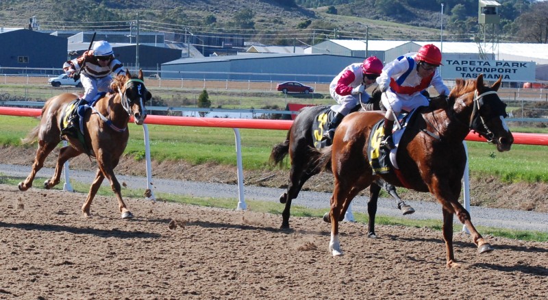 Royal Bluff forges to the lead at Devonport