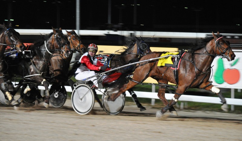 Hesa Prospect, driven by Duncan Dornauf, scores a comeback win at Mowbray on Sunday night.