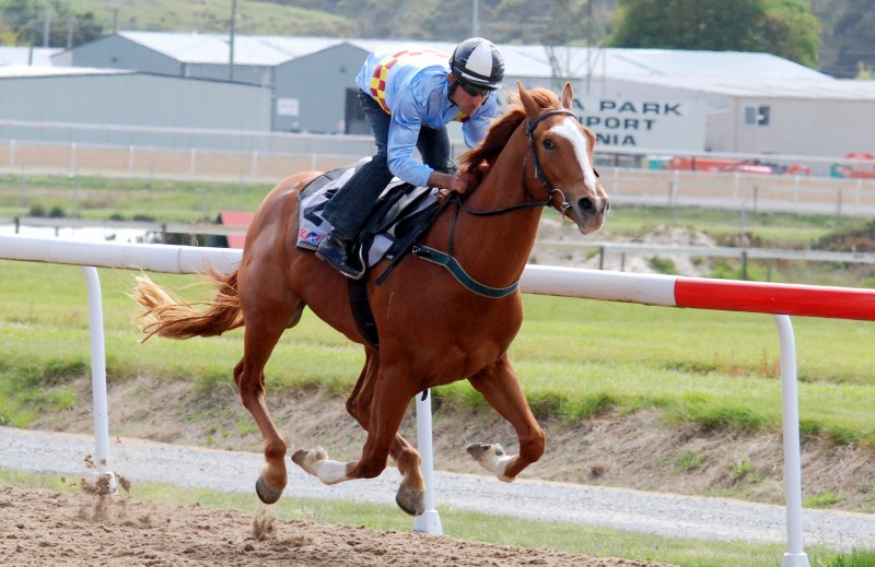 Astrodar (Ismail Toker) on his way to an effortless trial win at Devonport