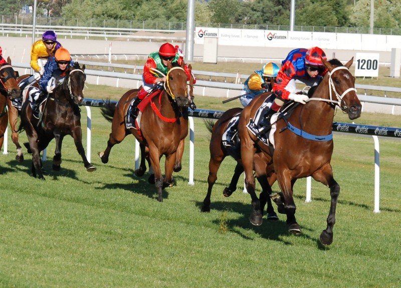 At The Weekend (A Darmanin) cruises to victory in a maiden in Launceson last season