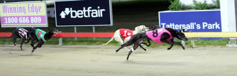 Brutal Force powers clear close to home to score impressive win in Hobart 