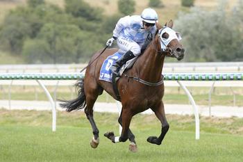 Bunchloch in action - photo courtesy of the O'Sullivan stable website