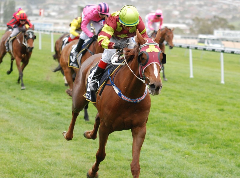 Chi Gong (David Pires) powers home to win benchmark 72 over 1600m in Hobart last Saturday
