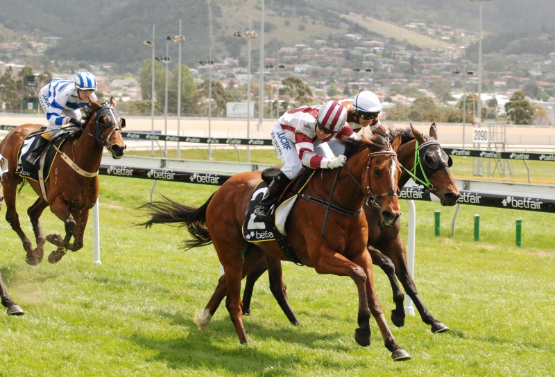 Lingo (Kim Moore) gets up to defeat Hold True (Rhonda Mangan) in BM 82 Hcp over 2100m in Hobart