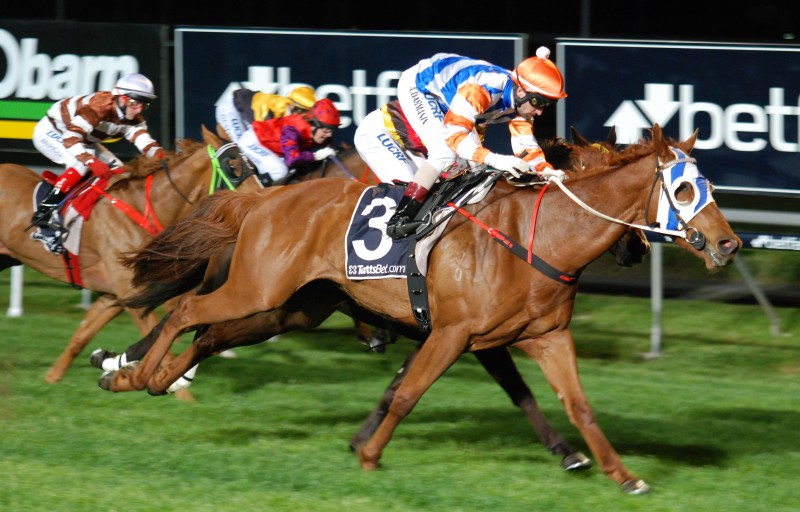 Made of Stars (A Darmanin) gets up to win Mdn Plate 1400m in Launceston
