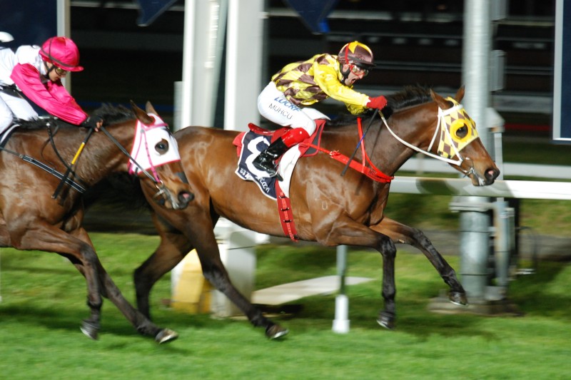 Private Currency holds out Flash Al Moon to win BM82 1200m in Launceston