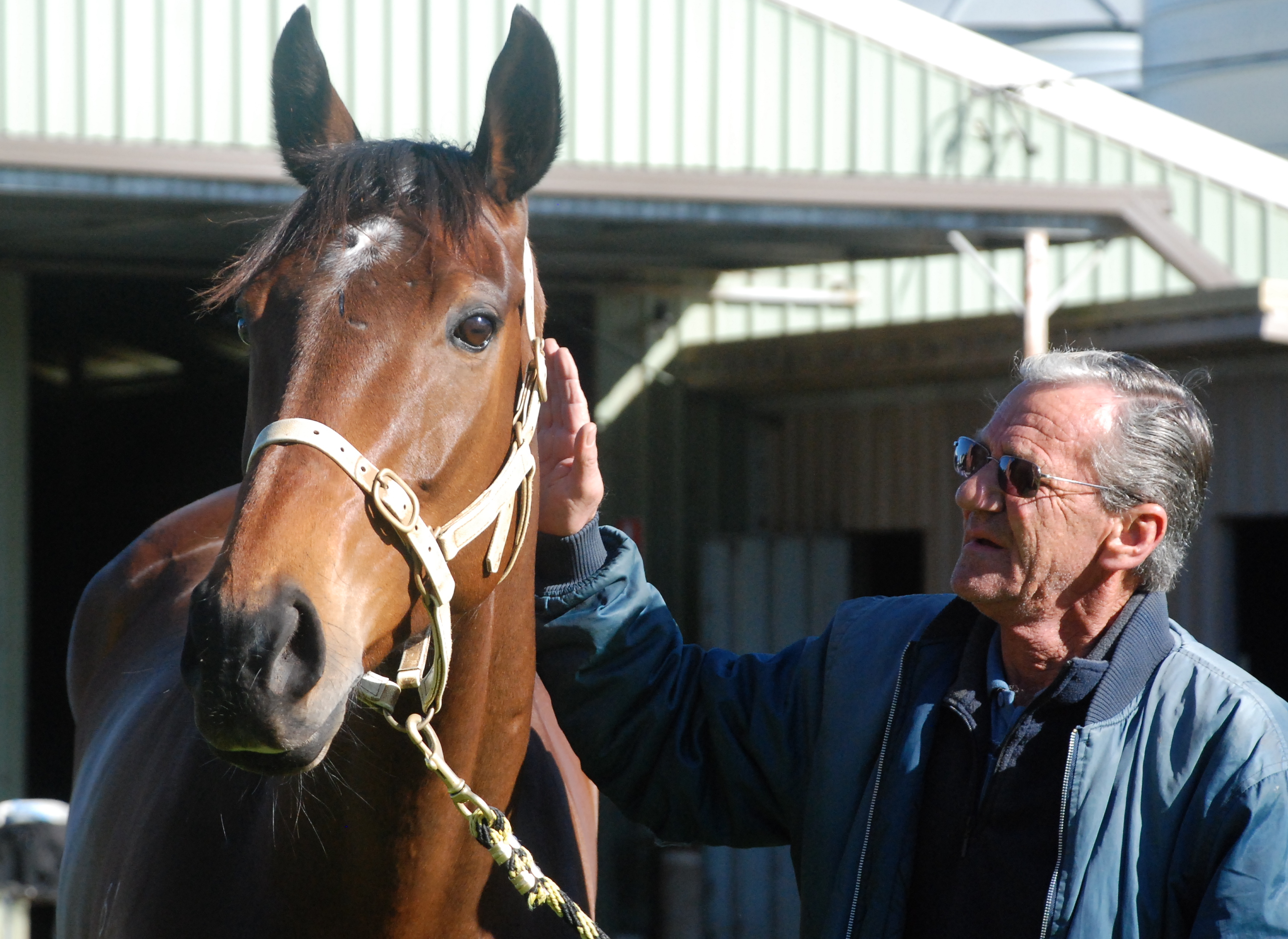 The Cleaner gets a pat from his trainer Mick Burles