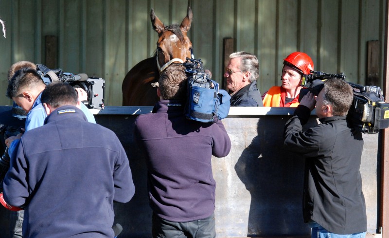 The Cleaner, trainer Mick Burles and trackwork rider Karl Rhodes are surrounded by the media after his trackwork gallop at Longford this morning (Tuesday)