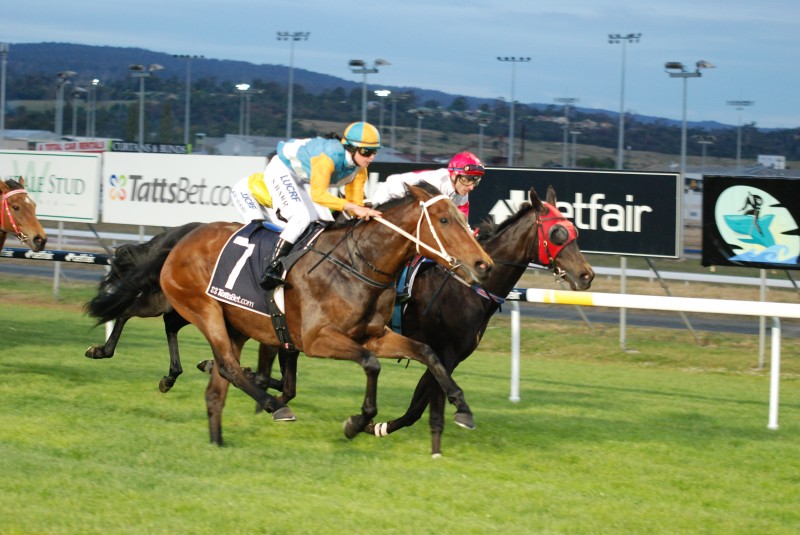 All Wrapped Up (Sherry Barr) gets up to defeat Flying Stevie (B McCoull) in maiden 1200m