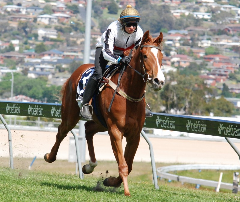 Colonial Coaster (2YO) easily wins trial over 900m in Hobart