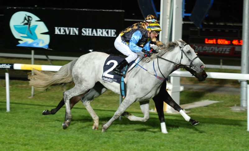Grey Gown (Brendon McCoull gets up to defeat Just Mouse in Launceston last night
