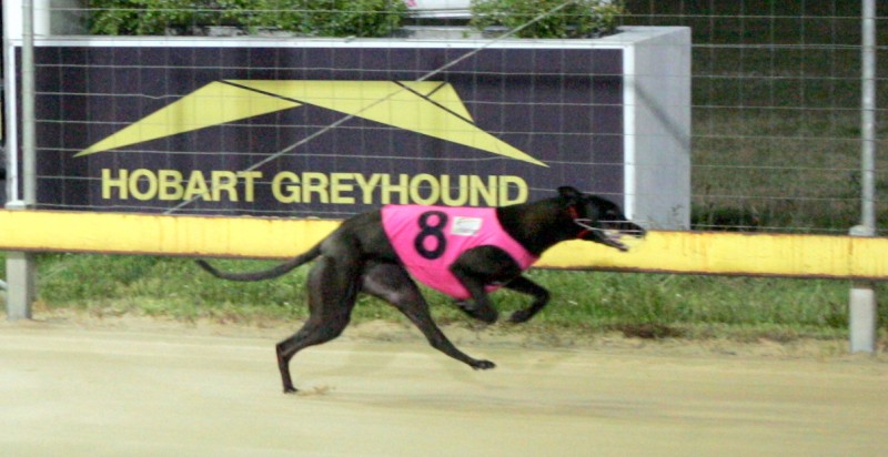 Kenny's Cruise wins in Hobart